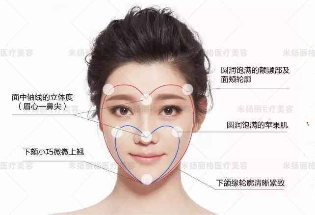 面部精雕全靠它:脂肪中的精华"脂肪胶"