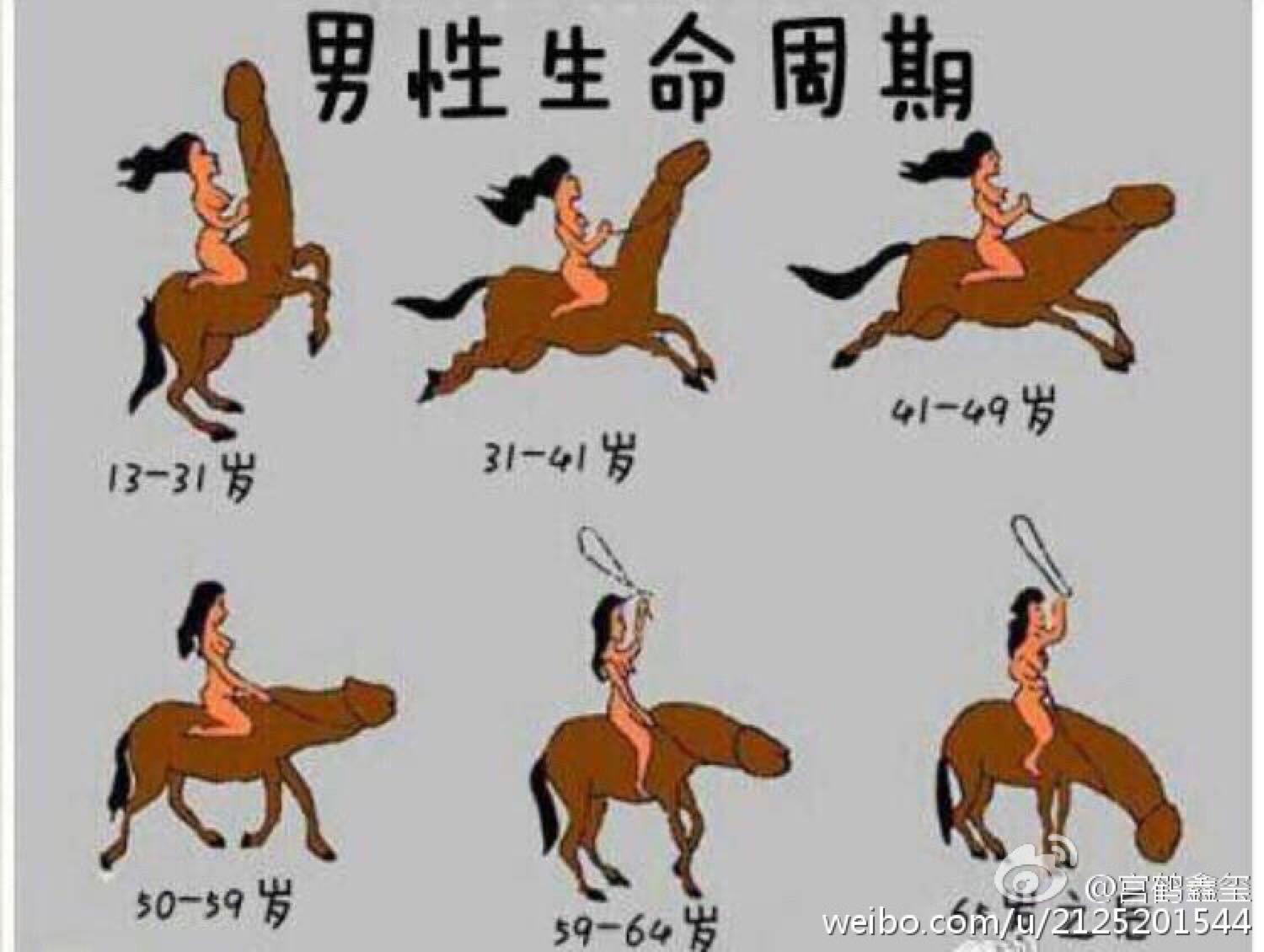 蛋蛋和秃顶有关系吗?