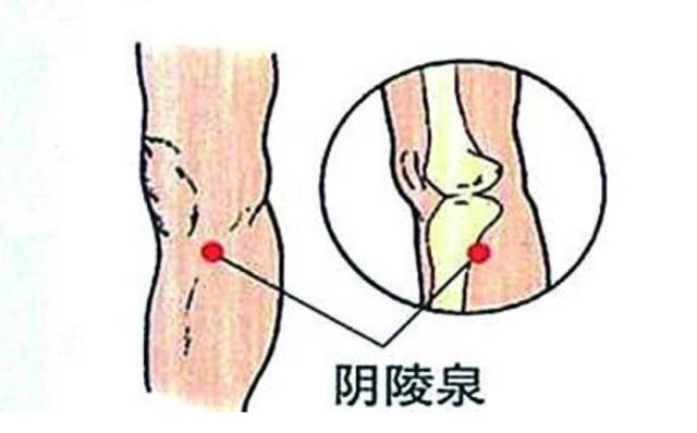 還不抓緊三伏天艾灸養生輕鬆去除一身病