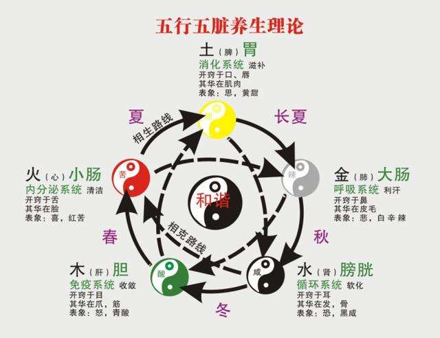 五脏五味五行之间的关系