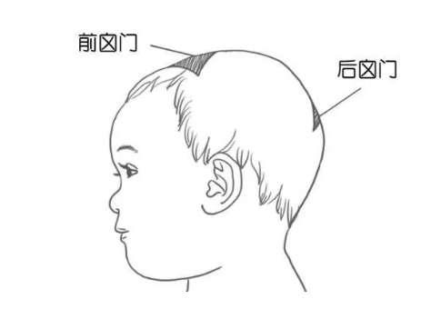 宝宝囟门闭合和钙有关吗?隆起