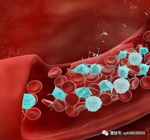 为什么通过治疗血小板数值还是居高不下