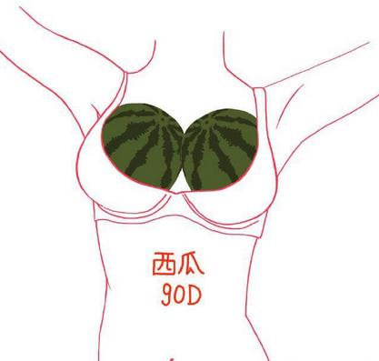 胸abcd拿水果比喻图片