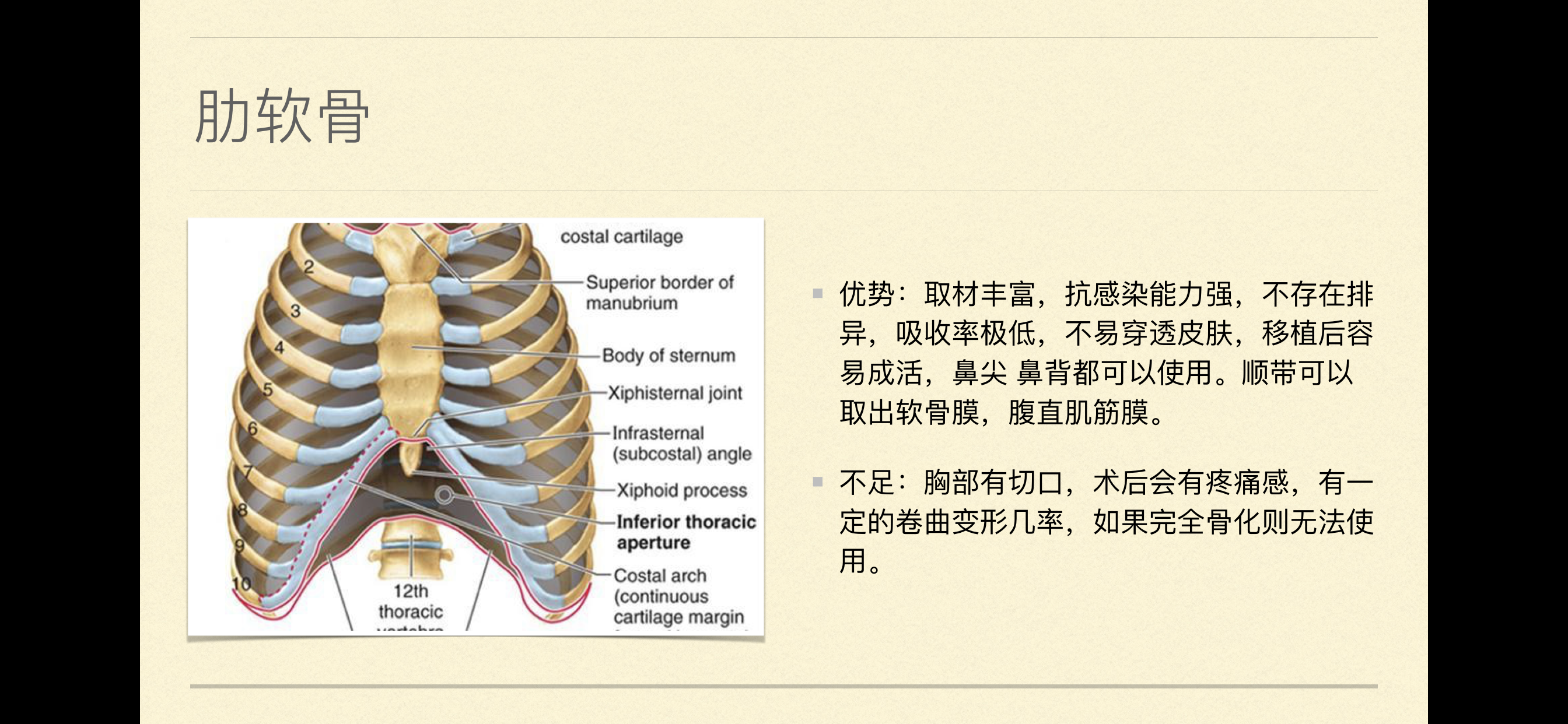 肋软骨在哪里取损伤大吗