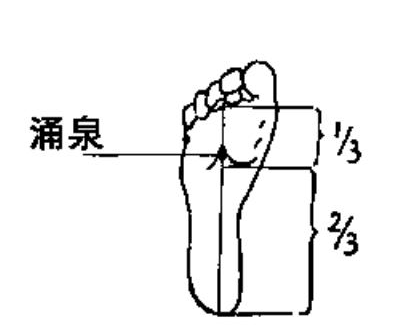属足少阴肾经,位于足跖屈卷足时,在足心前三分之一的凹陷中.