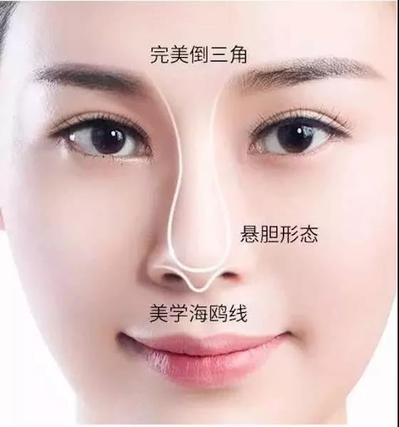 根据以上的美学弧度考量标准,我们再来看看高允真的鼻子.