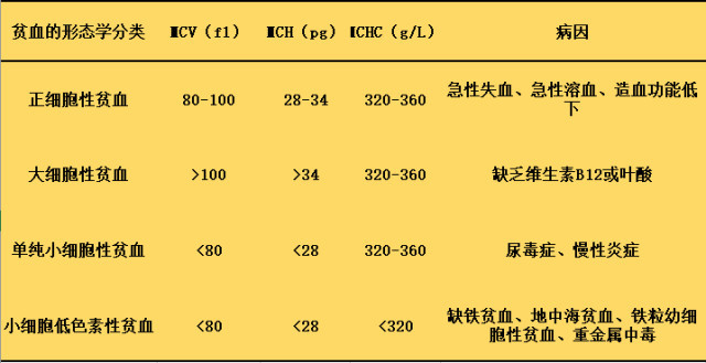 蛋白低是白蛋白还是血红蛋白_蛋白低血红蛋白正常是什么原因_血红蛋白偏低的原因及危害是什么