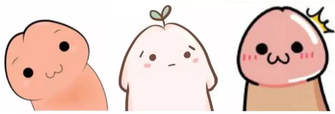 小弟弟丁丁的自述这件皮衣不适合我