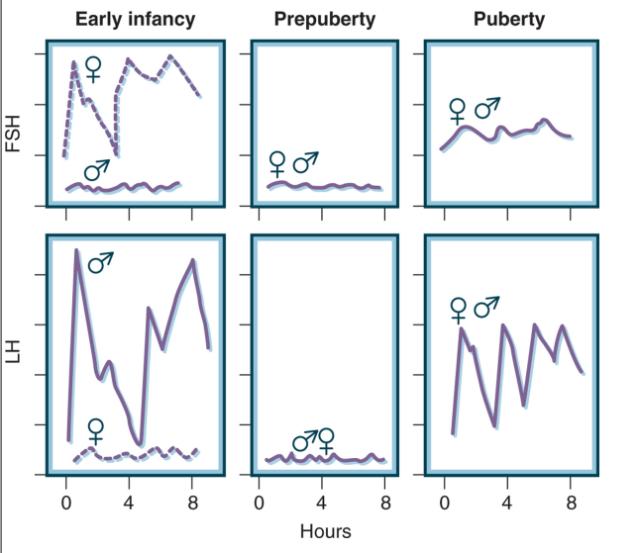 我家宝宝已经开始出现乳房发育，这正常么？