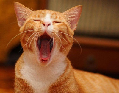 夏季去困小妙招