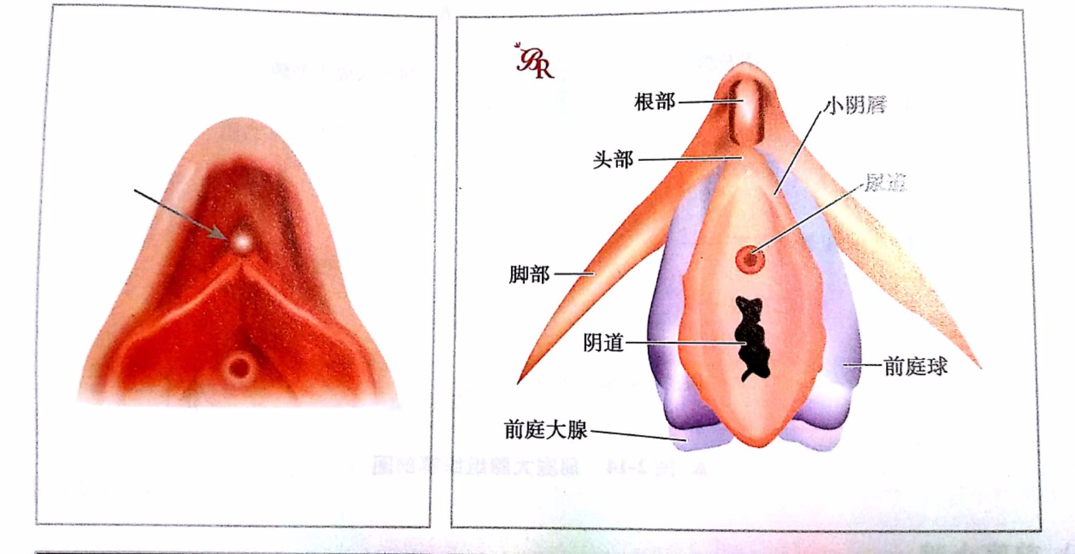 文章封面图