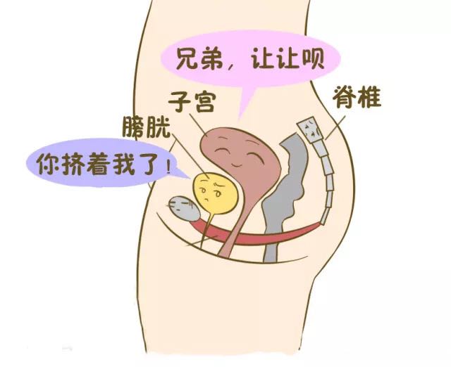 对的时间点9肖丹一根扁弧刃针治愈尿失禁漏尿