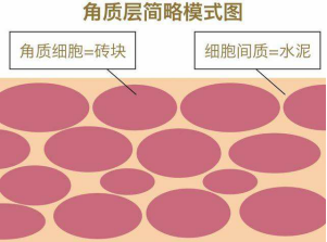 從保護皮膚屏障的角度聊聊——如何做到適度清潔?