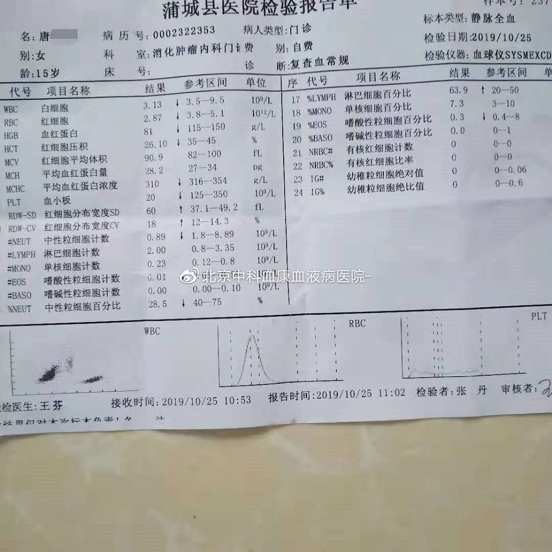 再生障碍性贫血血象图片