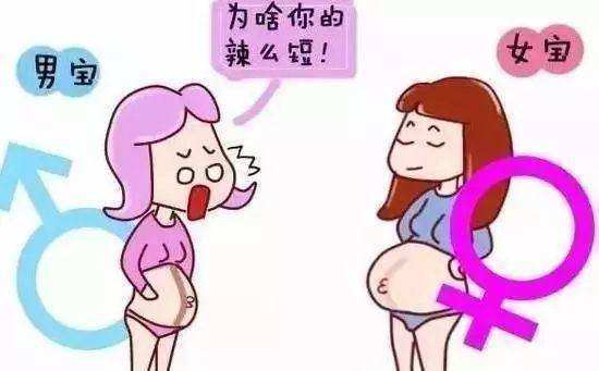 看孕妈妊娠中线知道男女可靠吗