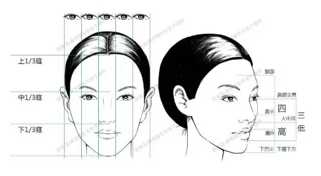 國際標準臉型即是符合三庭五眼,四高三低的美學標準定製.