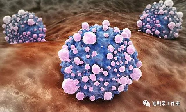 再生障碍性贫血,mds,白血病,放化疗期间及骨髓移植前预处理时,都是