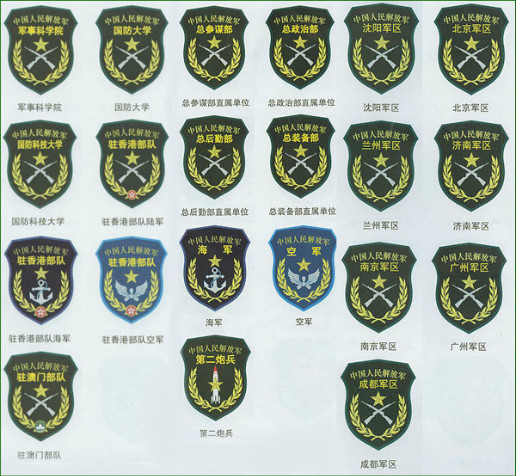 臂章上有金色叉叉的是什么兵种