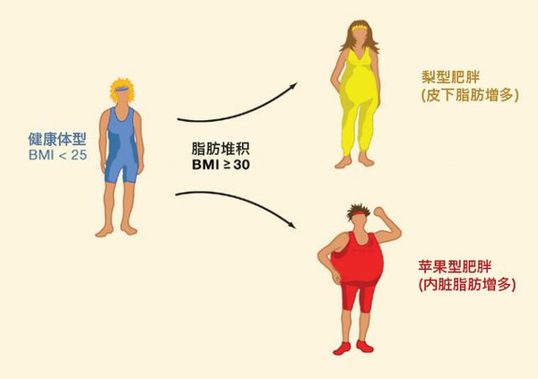 吸脂就等于减重?误区大揭秘!