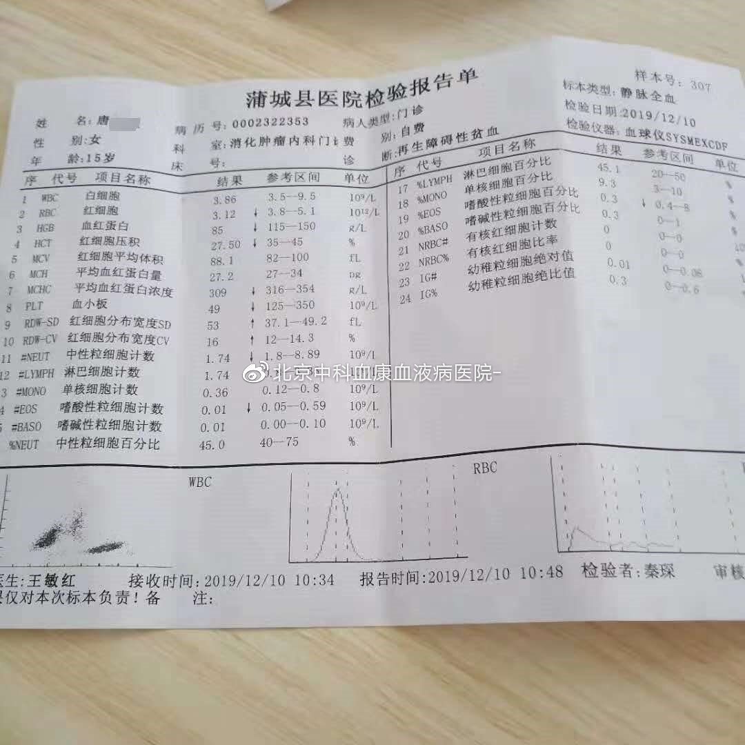 再生障碍性贫血血象图片