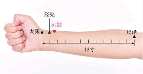 列缺穴