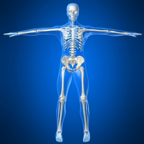 强健骨骼10种食物就够了