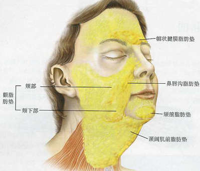 新检验标准又来了28脸你达标了吗