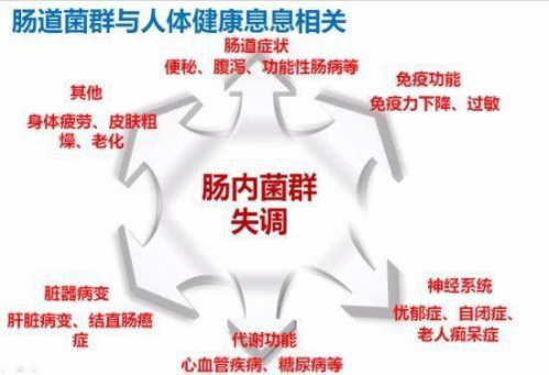 切除胆囊后,肠道菌群紊乱了怎么办?