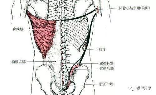 腰疼难忍难治疗——教你几招,对症下腰!