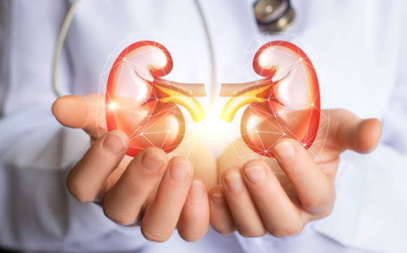 高血压长期吃药,如何保护肝肾不受伤?从2方面为你说清