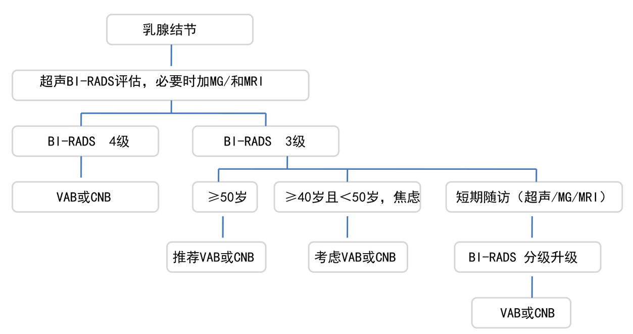 形态欠规则,或者内有钙化,bi-rads分级4级或以上,这一类的结节有恶性