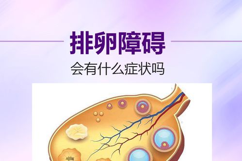哪里能治排卵障碍