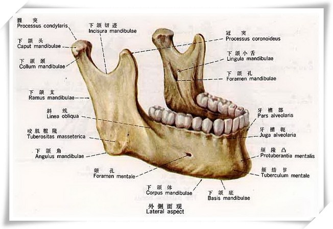 不用削骨,正畸就可以让你的颜值走向巅峰!
