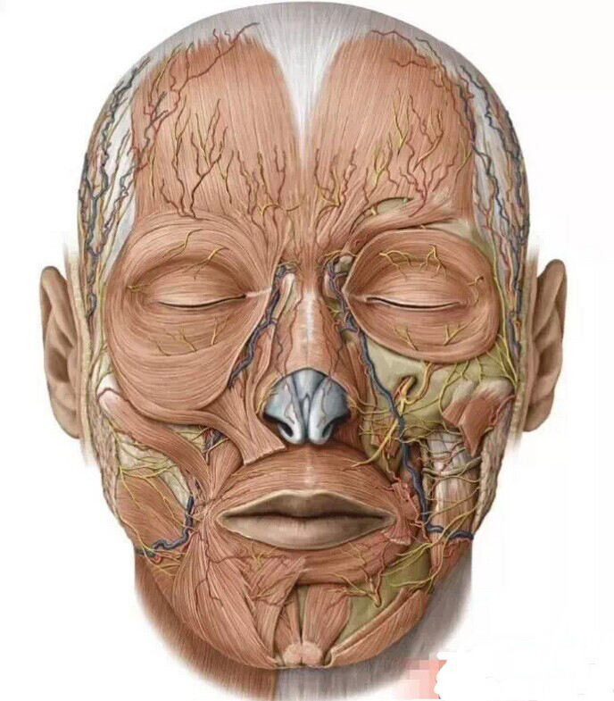 磨骨削骨真的有那麼可怕嗎?真相在這裡!