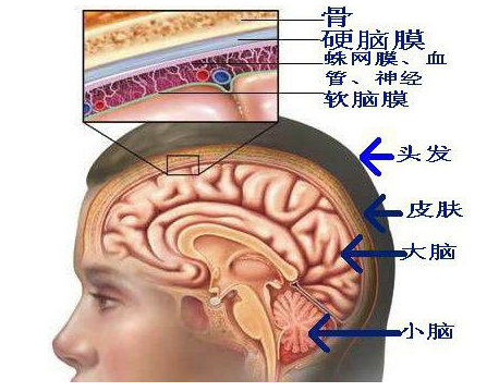 脑膜瘤可怕吗?怎么治疗?