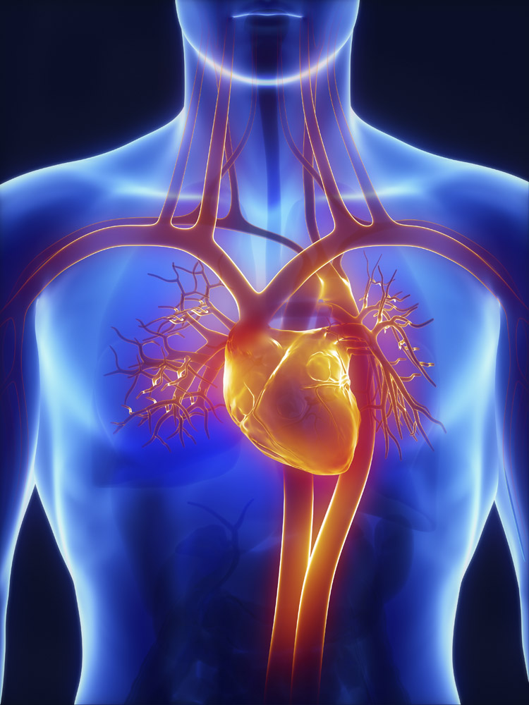 室性早搏就是患了心脏病?