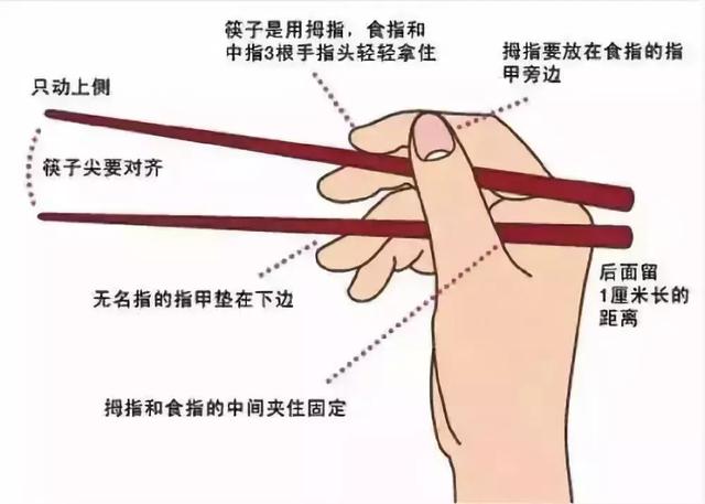 幼儿园使用筷子步骤图图片