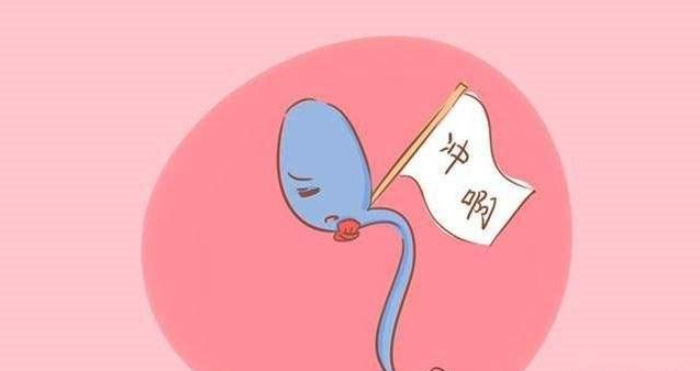 改善精子活力的方法