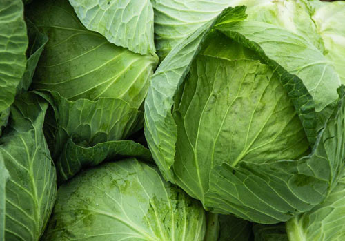 孕妇补钙吃什么好