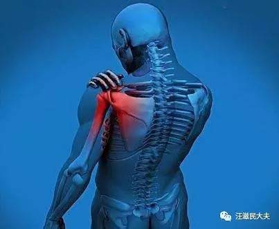 "肩关节疾病"——肩关节是座大房子