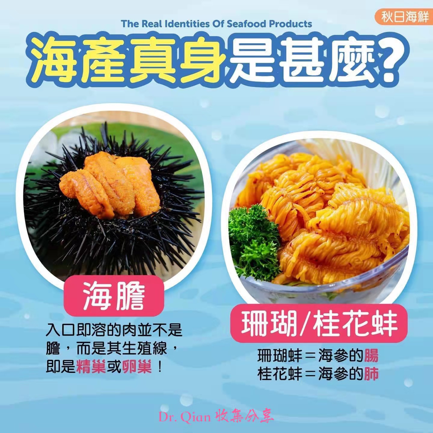 海产真身是什么 钱辉主治医师 爱问医生