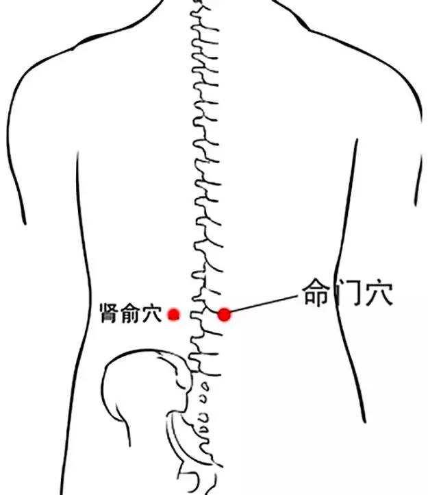 命门是人体的长寿大穴