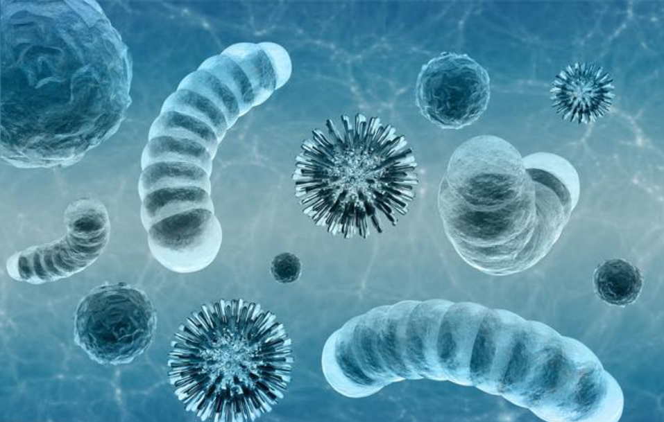 在地上,方便取箭之余也能使得箭头沾染泥土;细菌污染是感染发生的前提