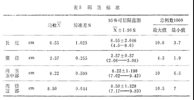 早上晨勃 18cm图片