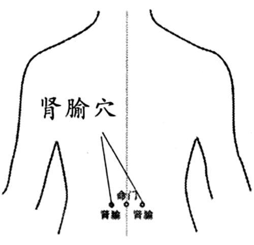 按摩功效:行气通络,扶阳固脱,升阳举陷,益肾助阳,强腰利水