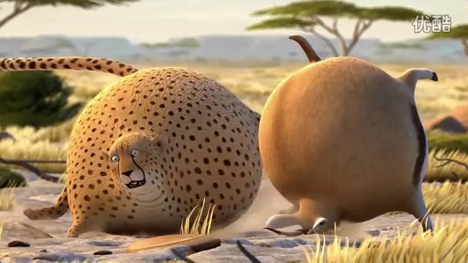 看看这些胖成球的动物们你还不减肥吗