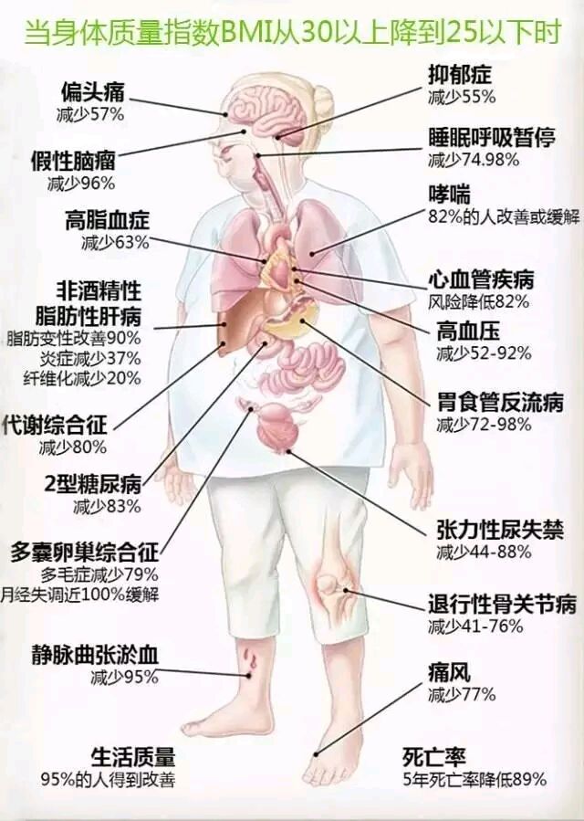 肥胖对健康的影响