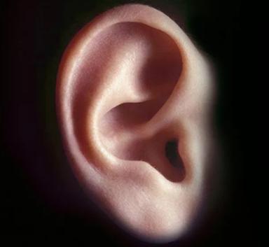 小耳朵畸形会遗传吗?为什么孩子会出现小耳朵畸形?