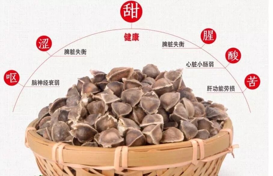 苦酸涩呕腥辣木籽五味辩症告诉你该如何养生