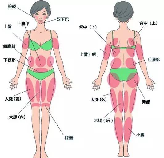 脂肪移植一般会选择大腿,腰,腹,背部,手臂等部位的脂肪,做完